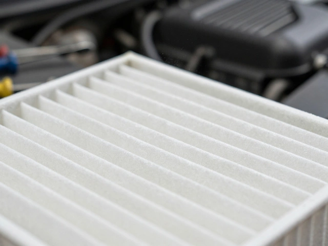 Dry vs Oiled Air Filter: Which One Actually Boosts Performance?